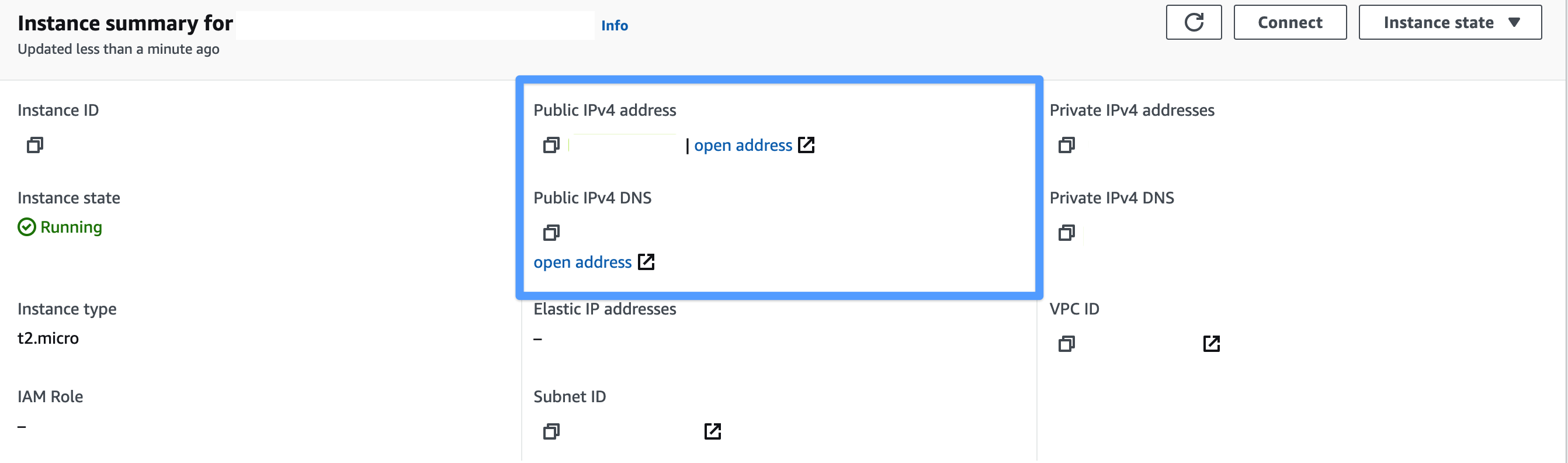 Use DNS or Public IP to access Appsmith.